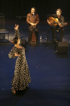 Flamenco Rosario