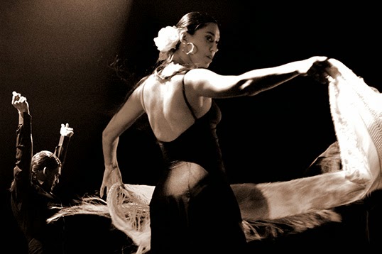 La passion du flamenco anime les danseurs. | Photo par Francesco
